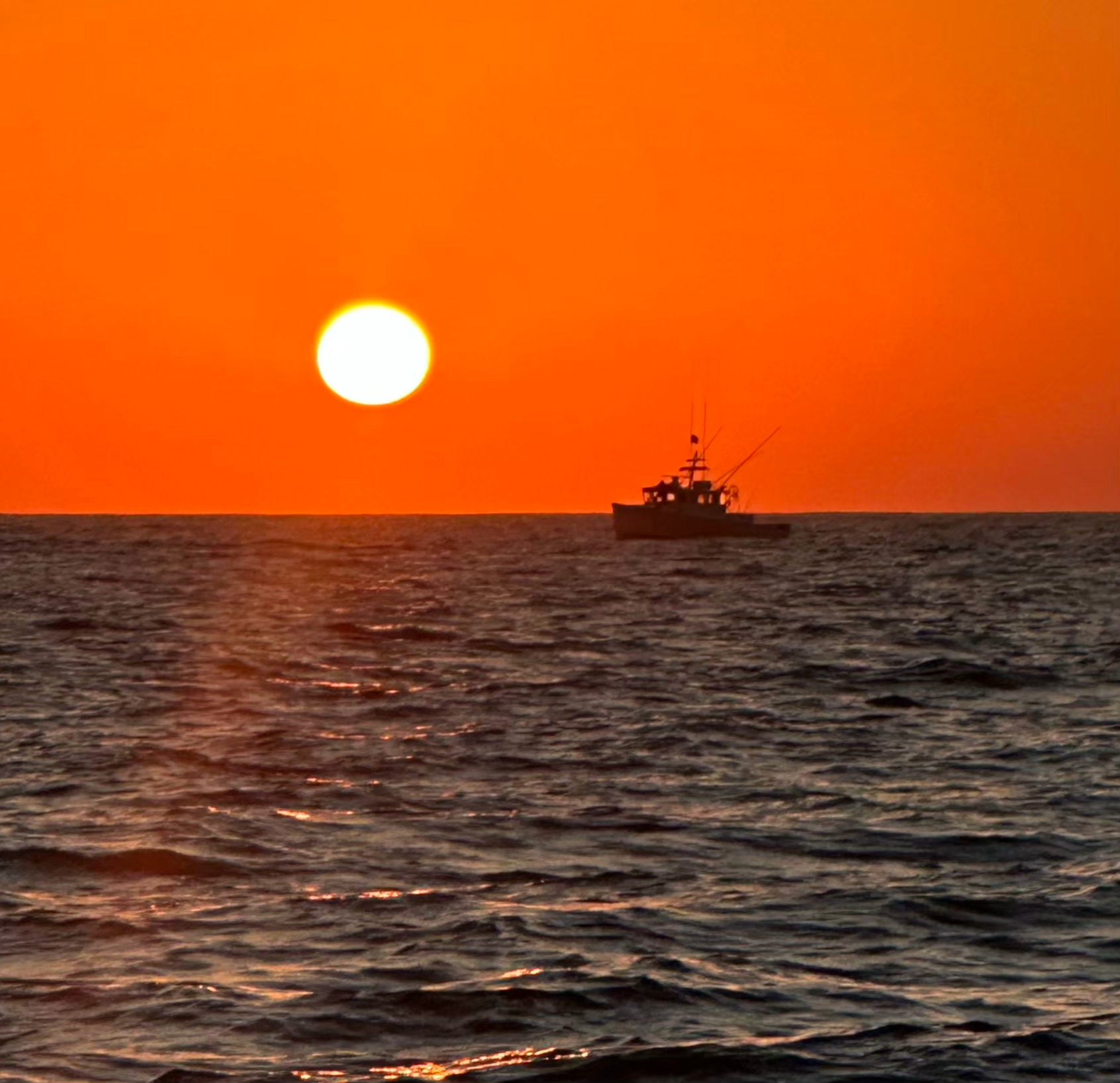 Giant Bluefin Tuna fishing